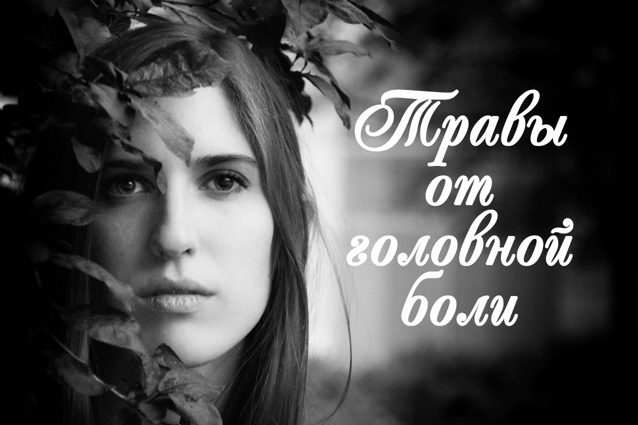 Какие травы от головной боли - список и препараты